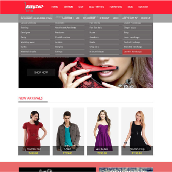 eCommerce Websites