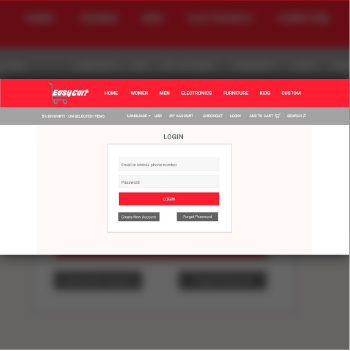eCommerce Websites