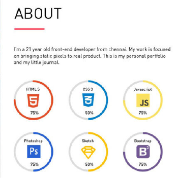 Portfolio Websites
