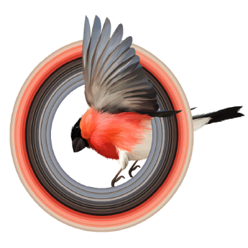 Image-Manipulation