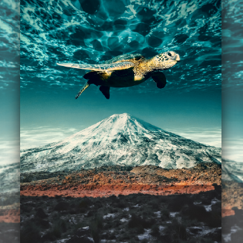 Image-Manipulation