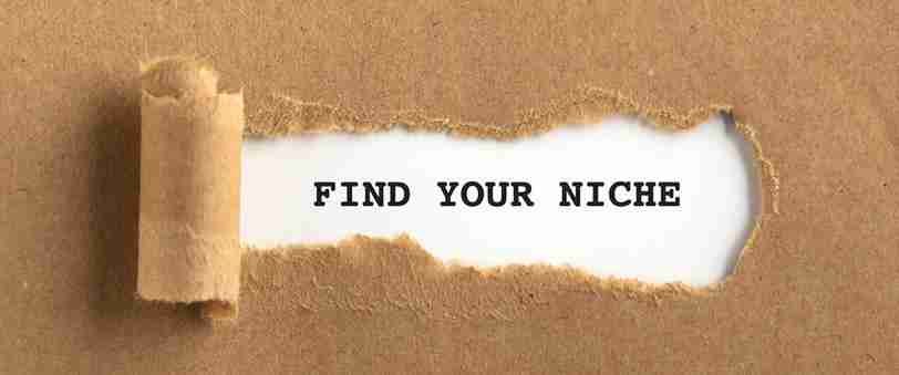 Identify your niche
