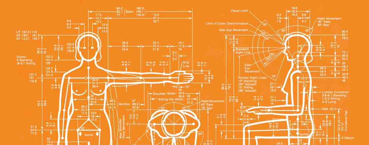 Ergonomics and Anthropometry